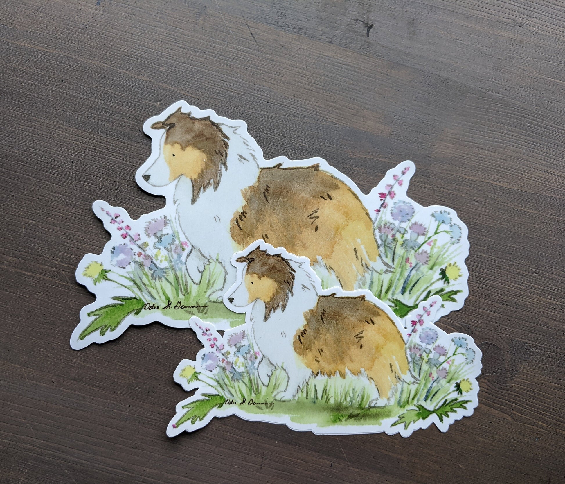 Shetland Sheepdog Sticker, Sable Sheltie Car Decal