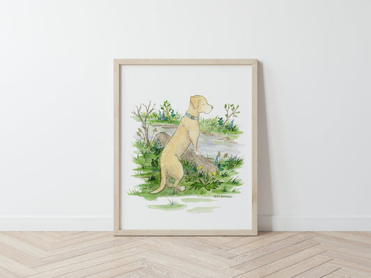 Yellow Lab Print, Yellow Labrador Retriever Artwork