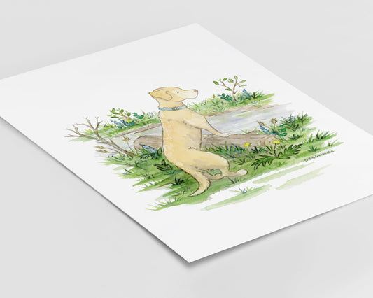 Yellow Lab Print, Yellow Labrador Retriever Artwork