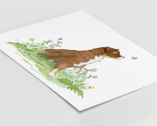 Australian Shepherd Art, Red Tri Aussie Print
