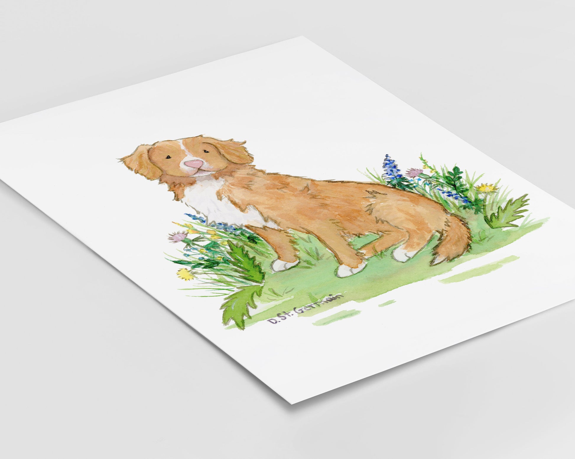 Nova Scotia Duck Tolling Retriever Art Print, Toller Gift for Dog Lovers