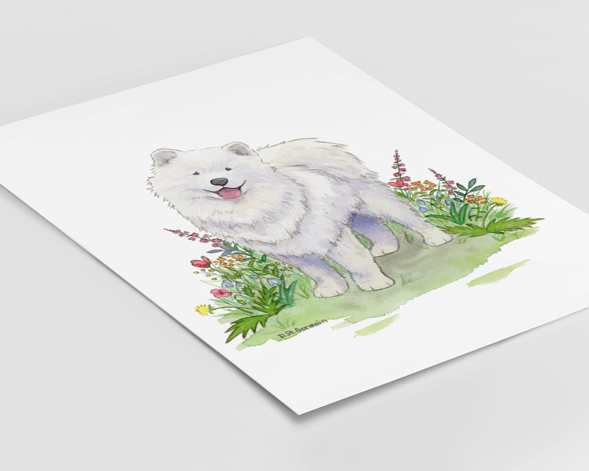 Samoyed Watercolor Art Print, Gift for Dog Lovers
