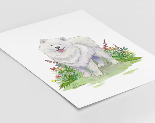 Samoyed Watercolor Art Print, Gift for Dog Lovers