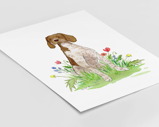 German Shorthaired Pointer Watercolor Art Print