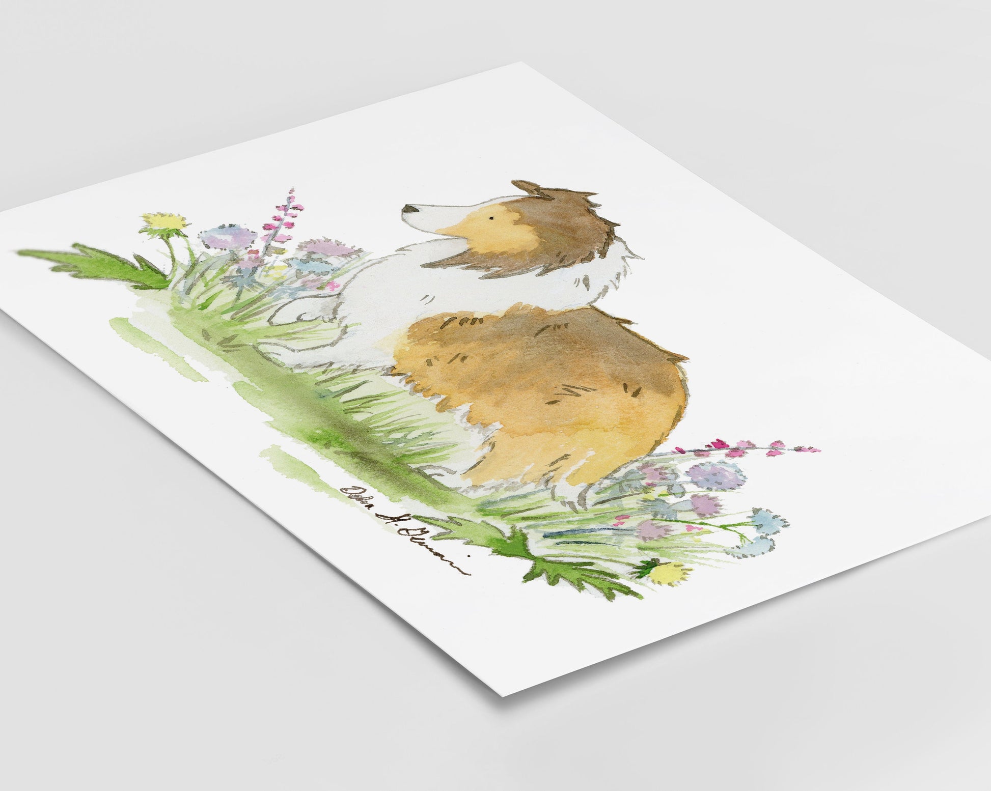 Sable Sheltie Art, Shetland Sheepdog Watercolor Print, Gift for Sheltie Lovers