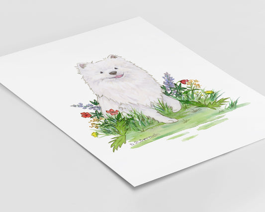 Watercolor American Eskimo Art Print, Japanese Spitz Art, Gift for Dog Lovers