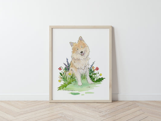 Icelandic Sheepdog Watercolor Art Print, Gift for Dog Lovers