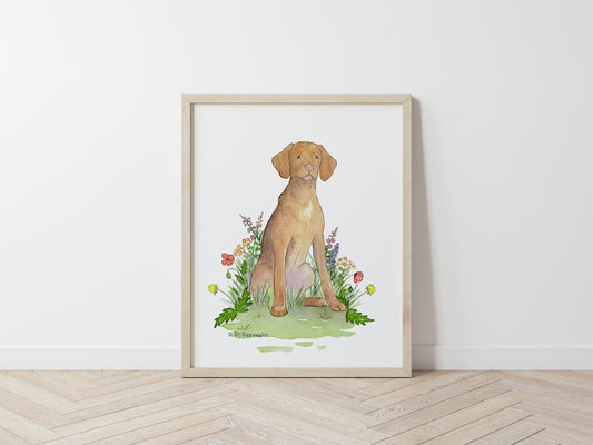 Vizsla Watercolor Art Print, Vizsla Gift for Dog Lovers