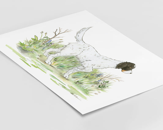 English Setter Art, Watercolor Hunting Dog Print, Dog Lover Gift