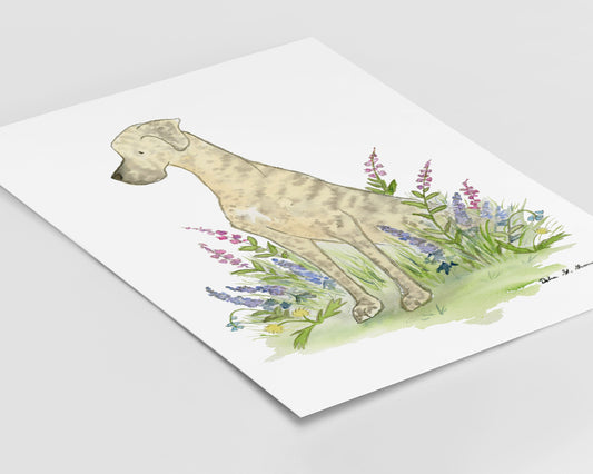 Brindle Great Dane Art Print, Gifts for Dog Lovers