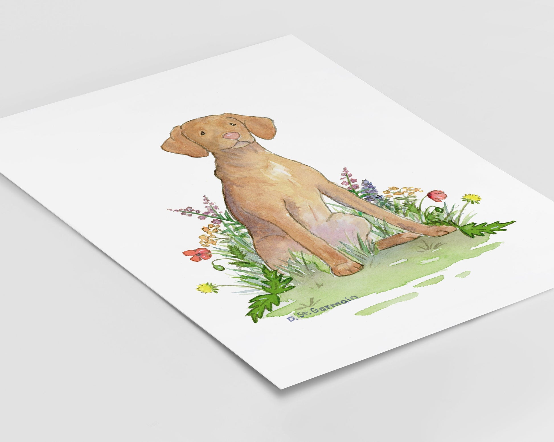 Vizsla Watercolor Art Print, Vizsla Gift for Dog Lovers