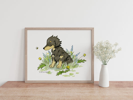 Long Haired Dachshund Watercolor Art Print