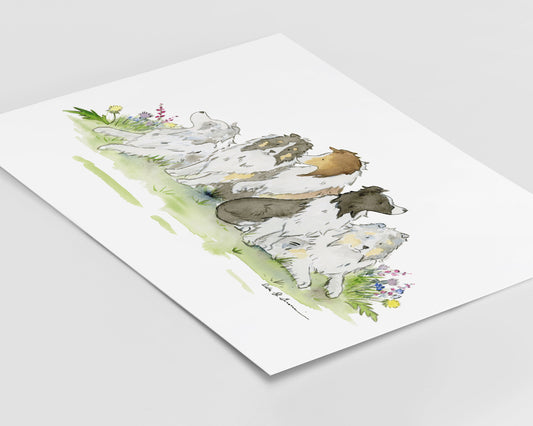 Shetland Sheepdog Watercolor Art Print, Gift for Sheltie Lovers