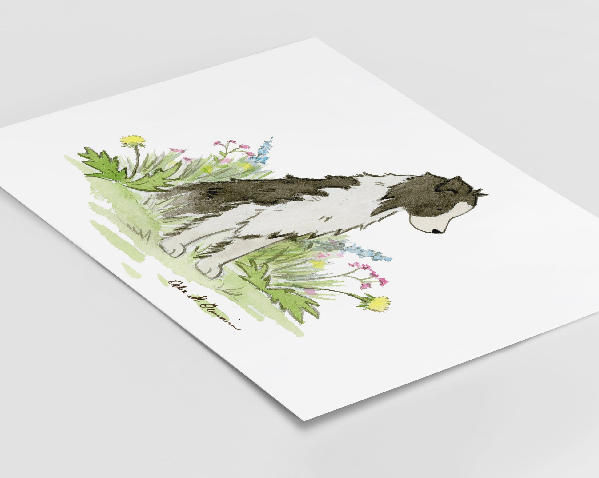 Border Collie Watercolor Print, Gift For Dog Lovers