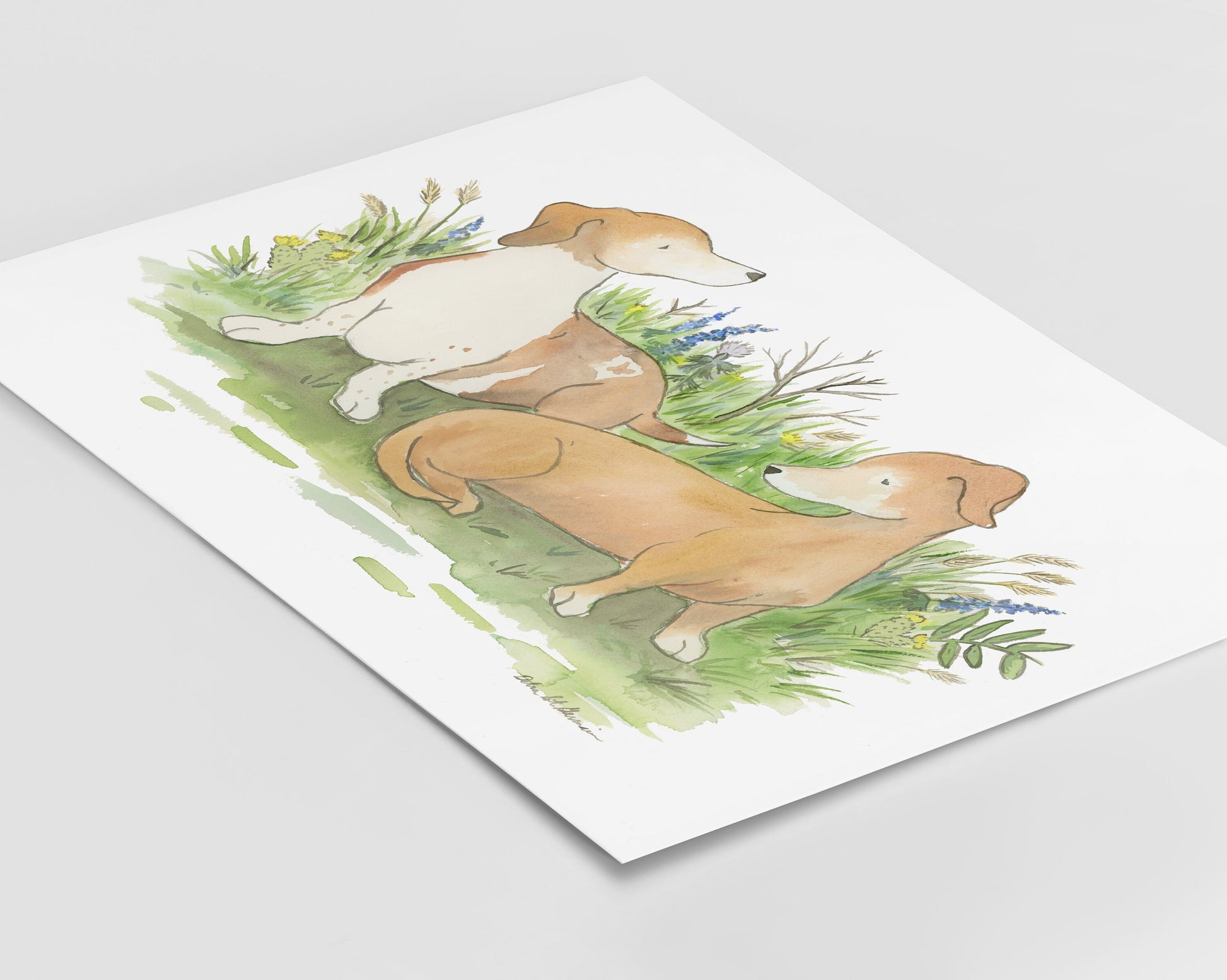Dachshund Art, Two Red Dachshunds Watercolor Print, Dachshund Lover Gift