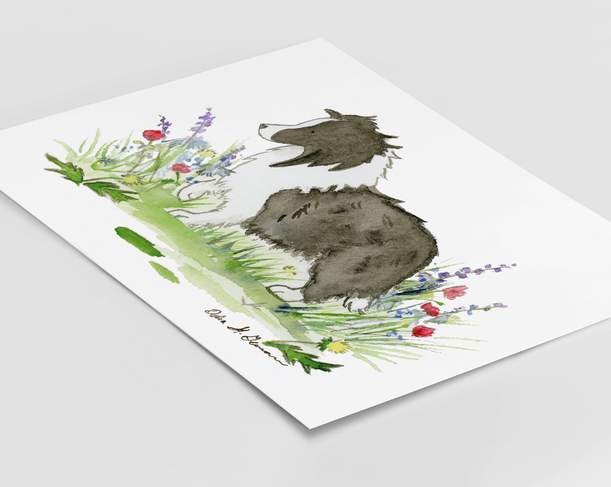 Bi Black Shetland Sheepdog Art Print, Gift for Sheltie Lovers
