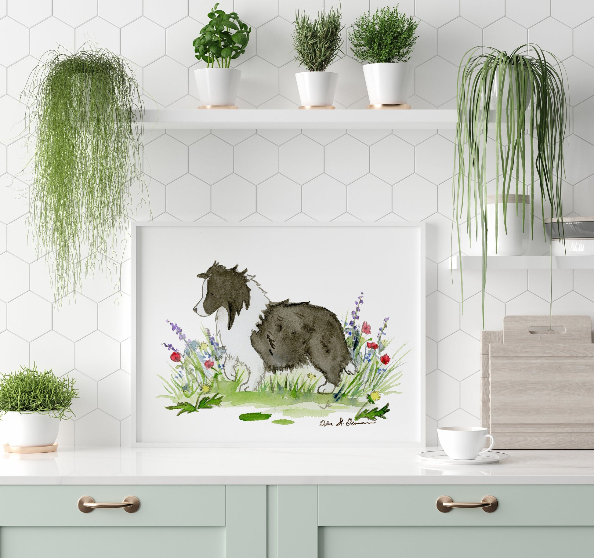 Bi Black Shetland Sheepdog Art Print, Gift for Sheltie Lovers