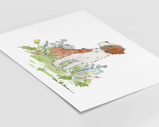 St Bernard Print Art, Watercolor Illustration Print
