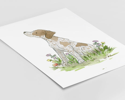 German Shorthaired Pointer Art, Watercolor Print, Gift for Pointer Lovers