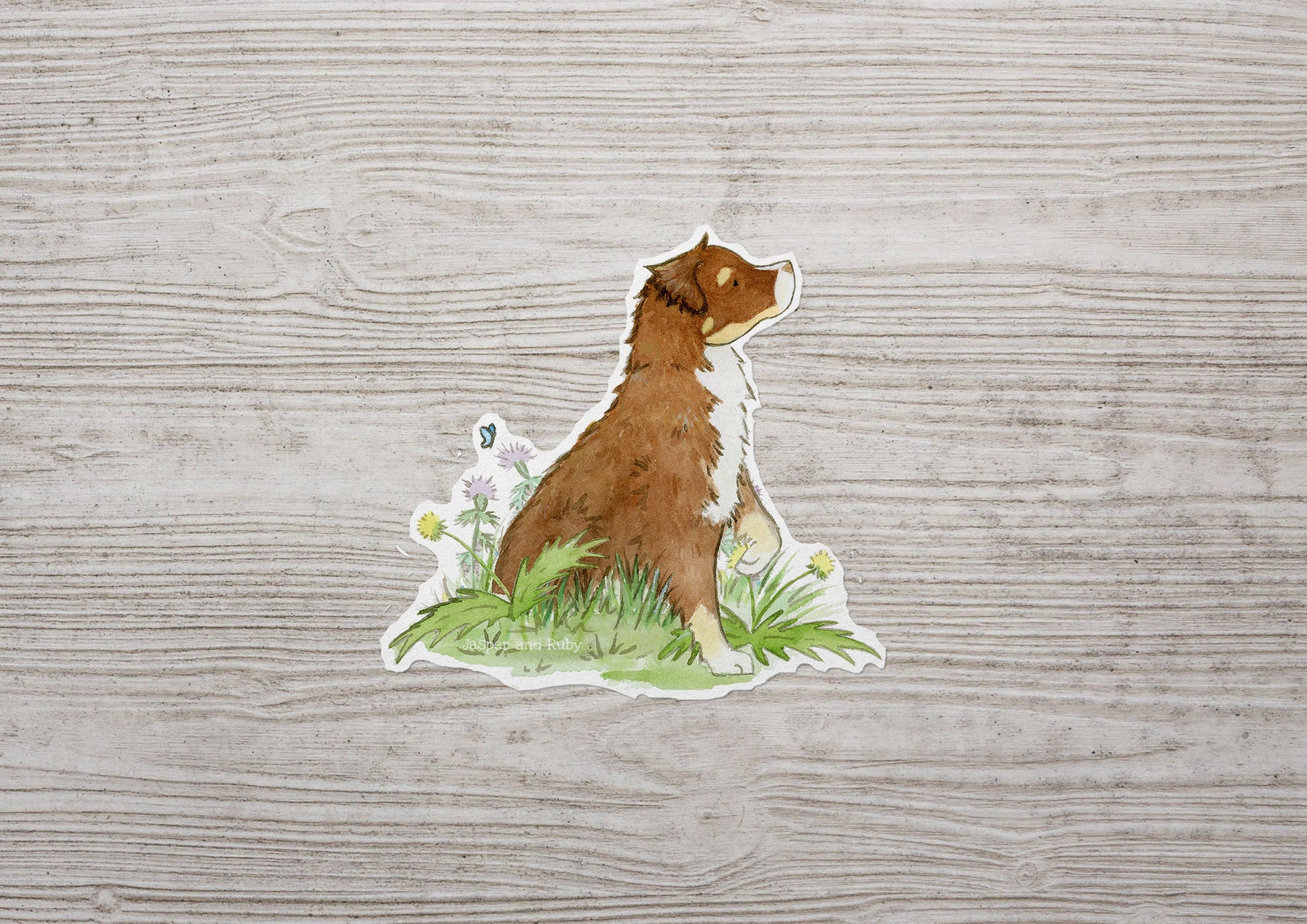 Australian Shepherd Vinyl Sticker, Red Tri Aussie