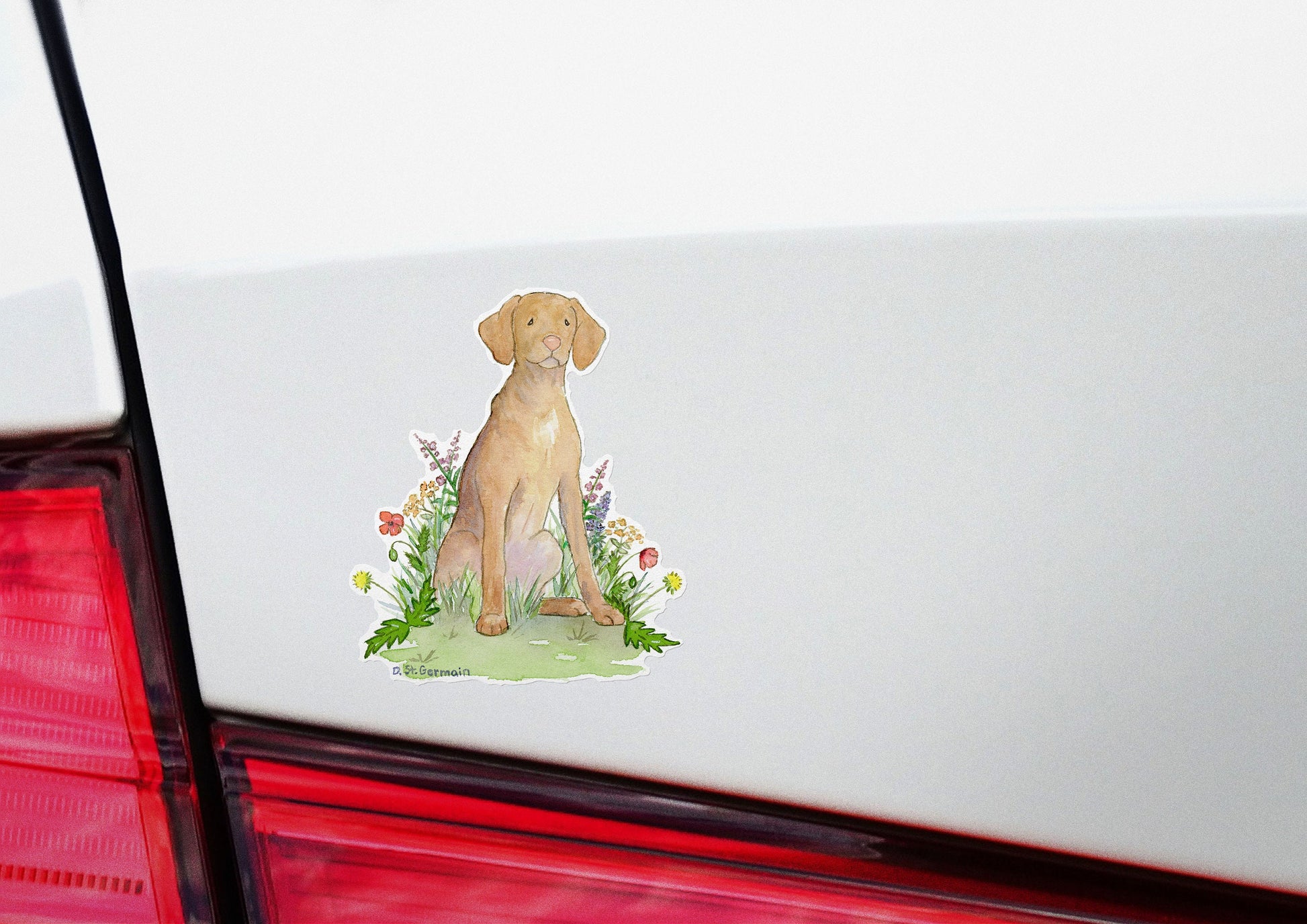 Vizsla Waterproof Vinyl Sticker, Car Decal, Laptop Sticker