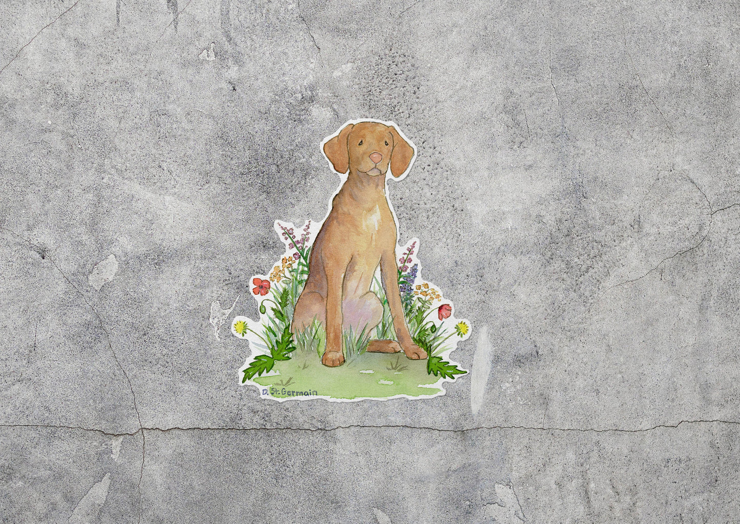 Vizsla Waterproof Vinyl Sticker, Car Decal, Laptop Sticker