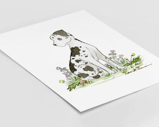 Great Dane Art Print, Harlequin Great Dane Watercolor Print, Art for Dog Lovers