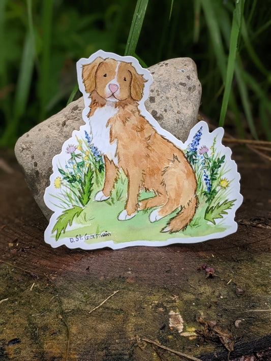 Nova Scotia Duck Tolling Retriever Vinyl Sticker