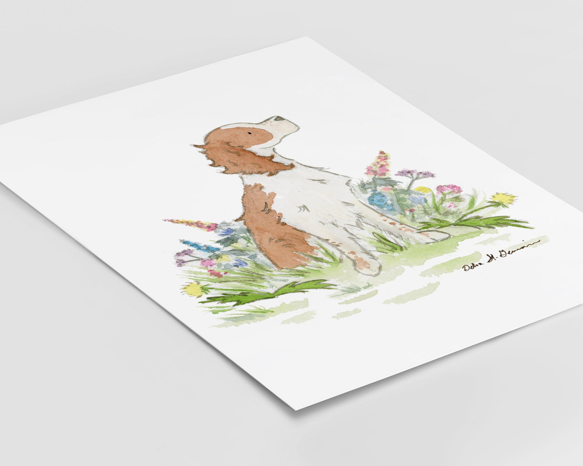 Springer Spaniel Art, Watercolor Print