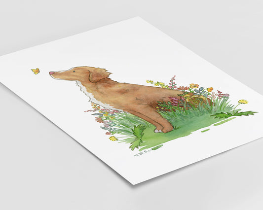 Nova Scotia Duck Tolling Retriever Art Print, Toller with Butterfly
