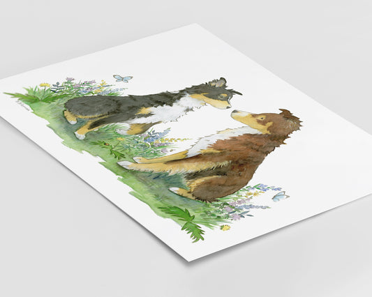 Australian Shepherd Art, Red Tri and Black Tri Aussie Print
