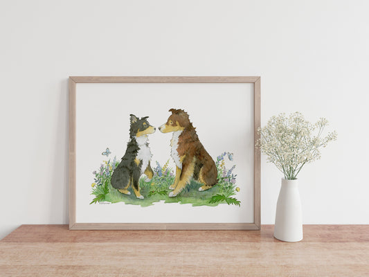 Australian Shepherd Art, Red Tri and Black Tri Aussie Print
