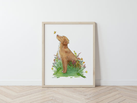 Nova Scotia Duck Tolling Retriever Art Print, Toller with Butterfly