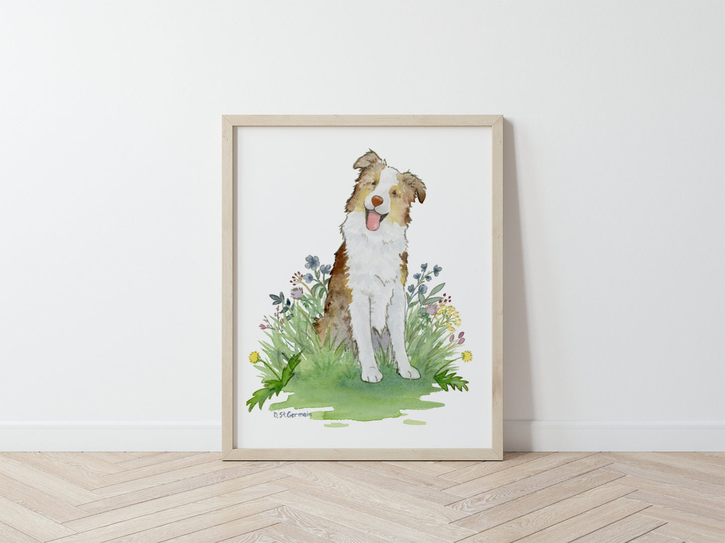Red Merle Australian Shepherd Watercolor Art Print