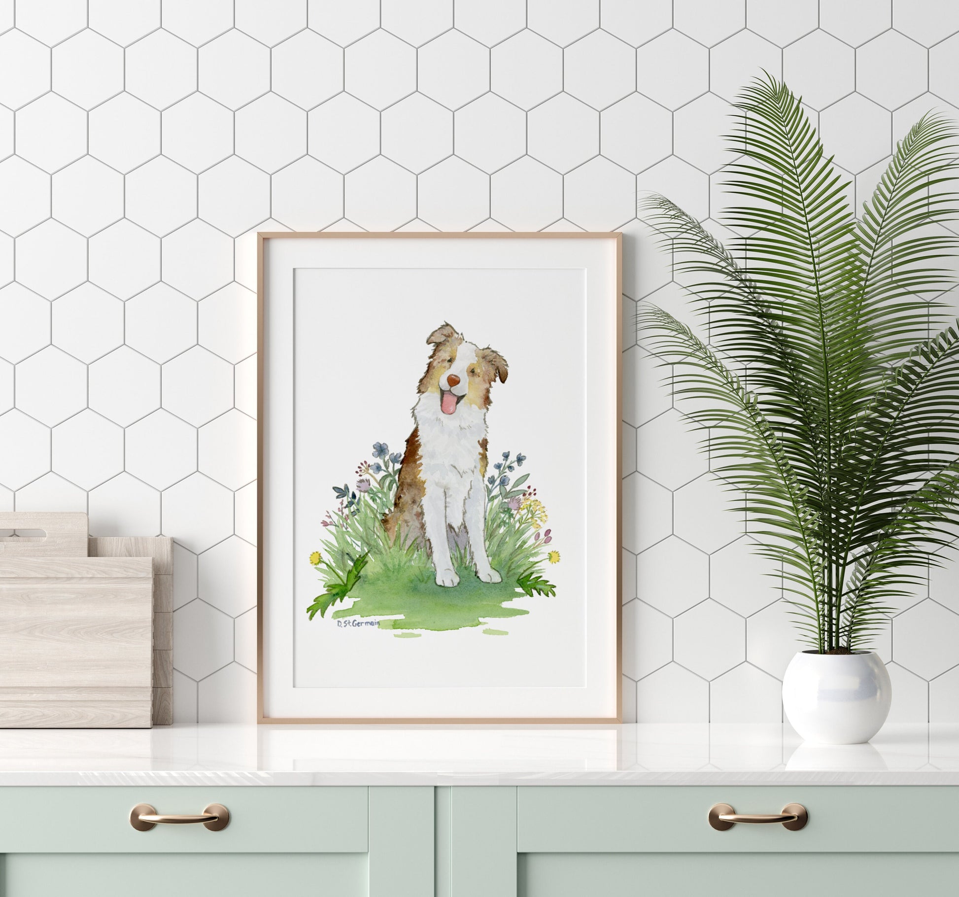 Red Merle Australian Shepherd Watercolor Art Print
