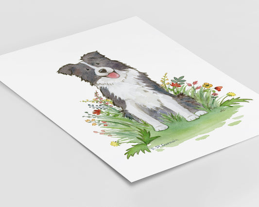 Framed print of a happy black and white border collie dog sitting in a patch of red and yellow wildflowers.