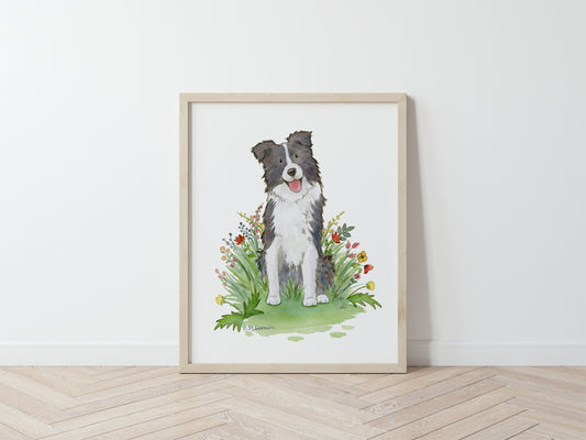 Framed print of a happy black and white border collie dog sitting in a patch of red and yellow wildflowers.