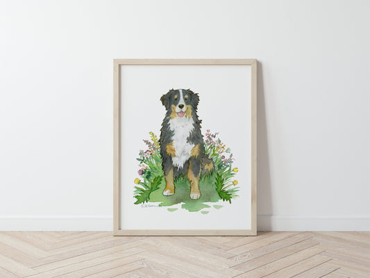 Framed watercolor print of happy Bernese Mountain dog sitting in colorful flowers.