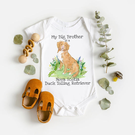 Baby one-piece bodysuit with cute artwork of a Nova Scotia Duck Tolling Retriever looking at a butterfly and the words, My big brother is a Nova Scotia Duck Tolling Retriever on it.