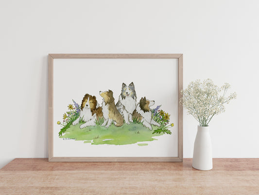 This is a print of an original watercolor painting of four Shetland sheepdogs sitting in colorful flowers.