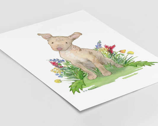 Watercolor painting of Xolo puppy and colorful wildflowers.