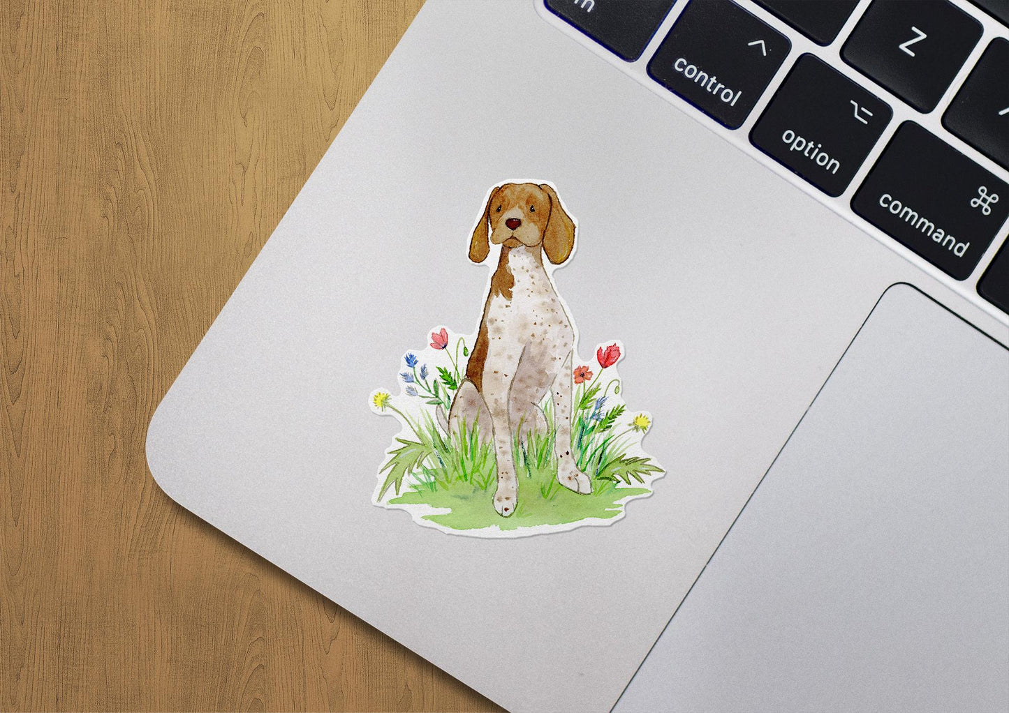 German shorthaired pointer vinyl sticker