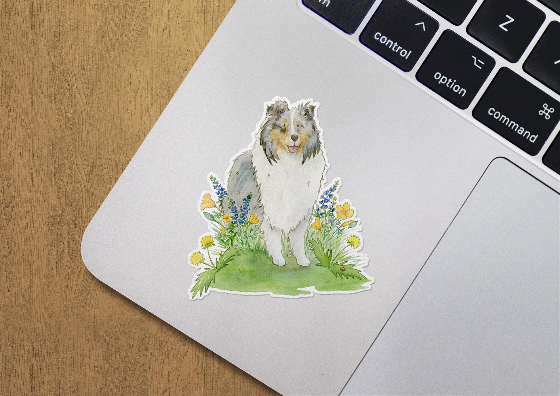 Blue merle sheltie sticker