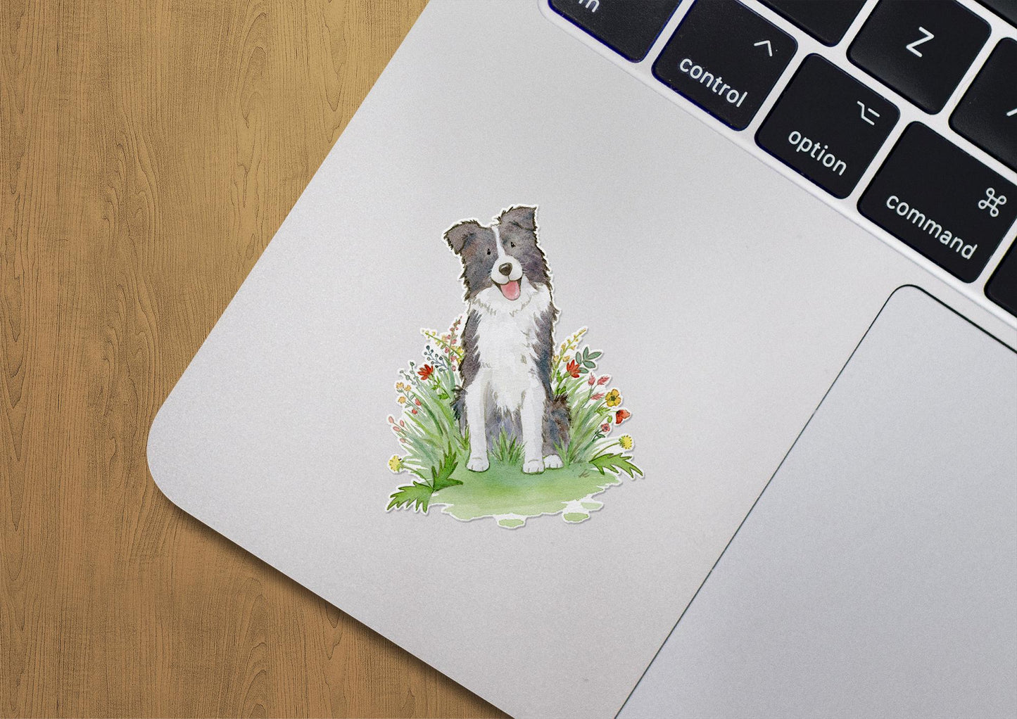 black and white border collie with flowers sticker