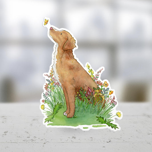 Toller Sticker, Nova Scotia Duck Tolling Retriever Vinyl Sticker, Toller Gift, Laptop Sticker, Cute Dog Sticker, Dog Lover Gift