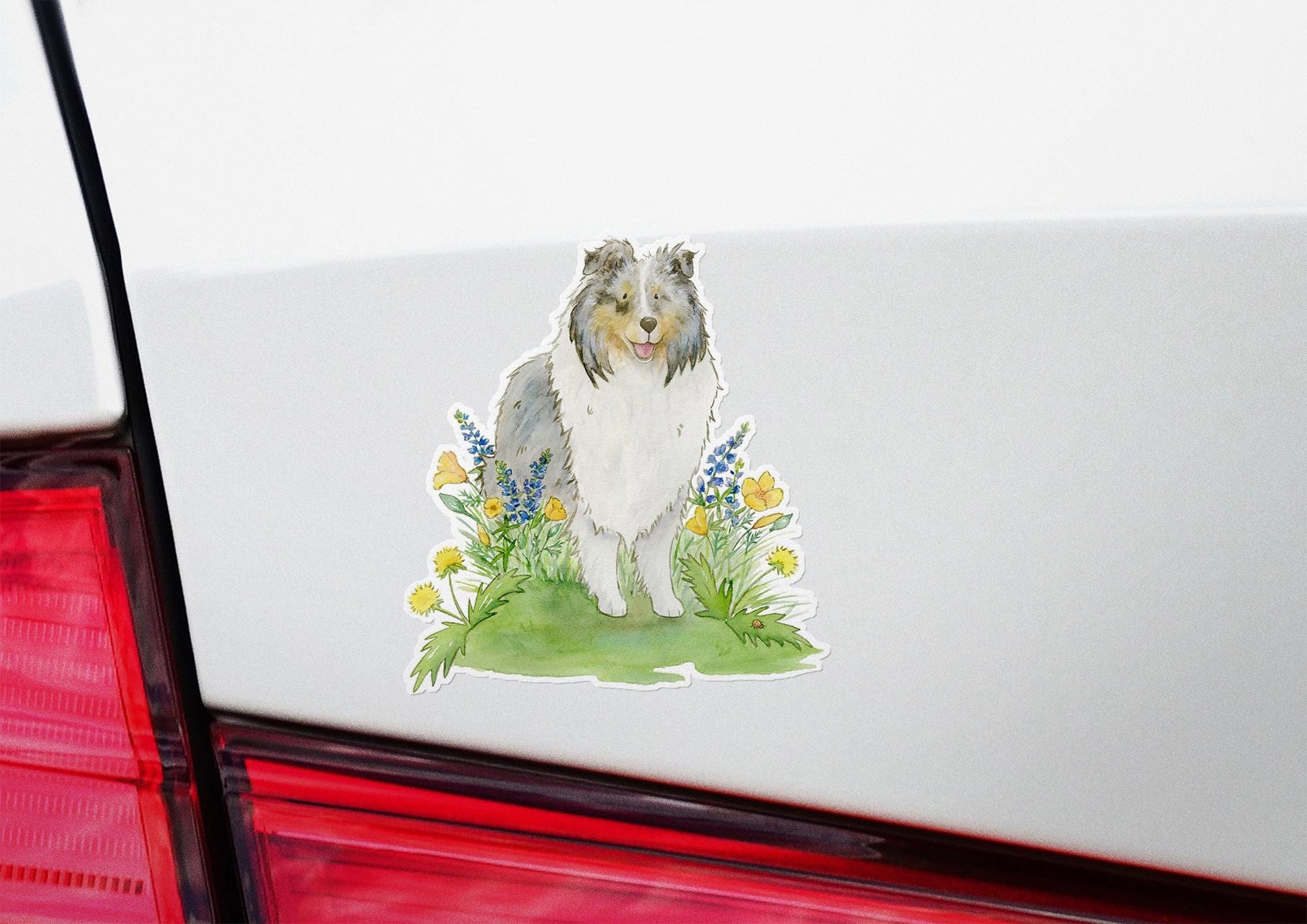 Blue merle sheltie sticker