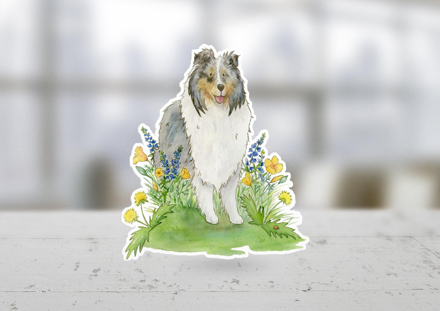 Blue merle sheltie sticker