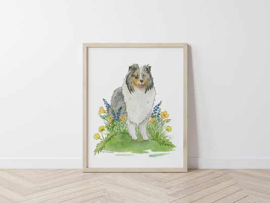 Sheltie Art, Sheltie Gifts, Blue Merle Sheltie, Shetland Sheepdog Art, Sheltie Painting, Dog Portrait, Watercolor Dog Art, Puppy Nursery Art