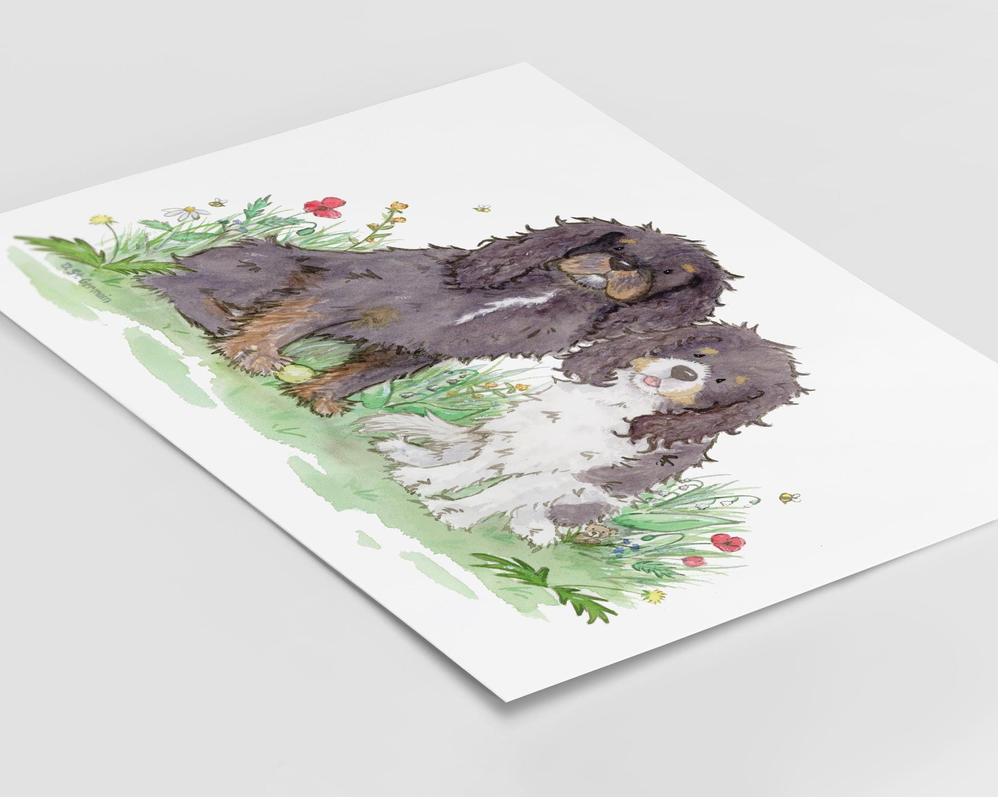 watercolor print of two cavalier King Charles spaniels and colorful flowers
