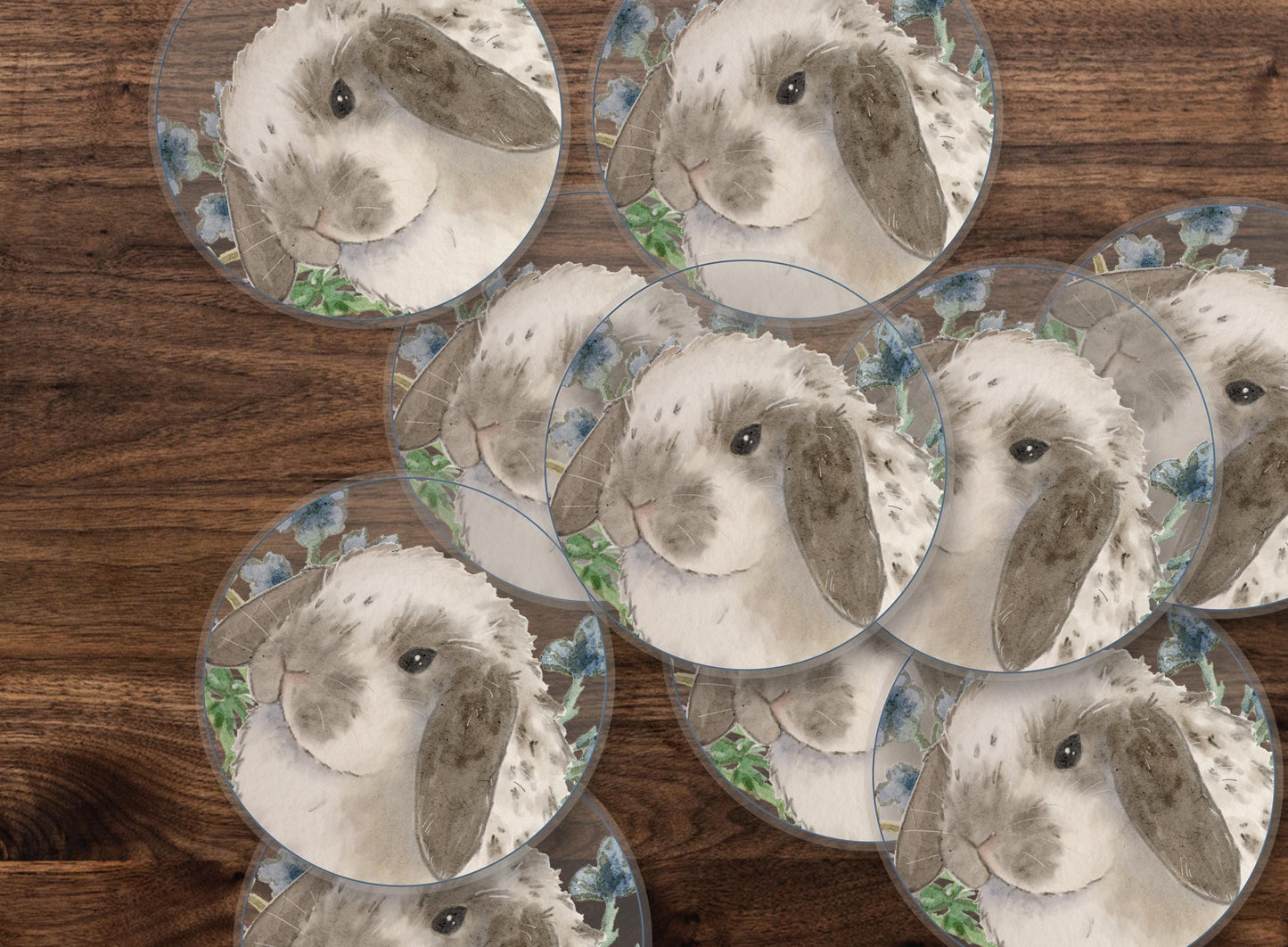 Cute Holland Lop Sticker, Gray and White Holland Lop, Bunny Sticker, Rabbit Owner Gift, Bunny Lover, Watercolor Lop Bunny